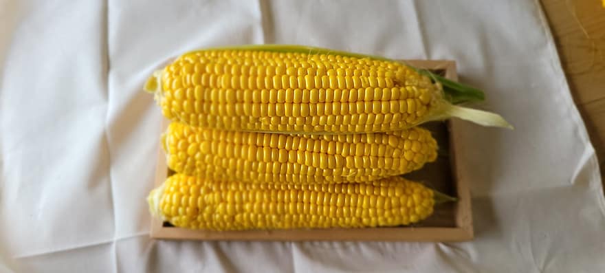 naturaleza, por segundo, maíz por segundo, maíz dulce, maíz amarillo, esquina, agricultura, Productos agrícolas, Fruta, vegetales, maíz