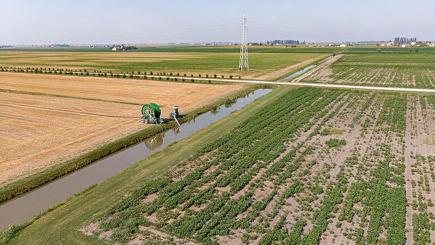 platteland, velden, irrigatie kanaal, veneto, Italië, gewassen, groene velden, landbouw, landelijk, natuur, farm