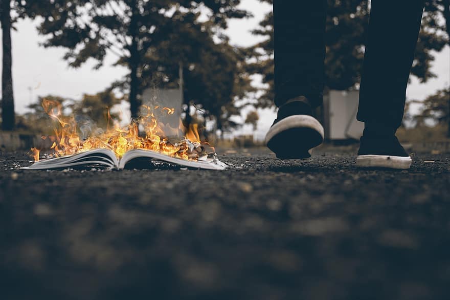 Férfi, gyalogló, égő, könyv, megégett, természet